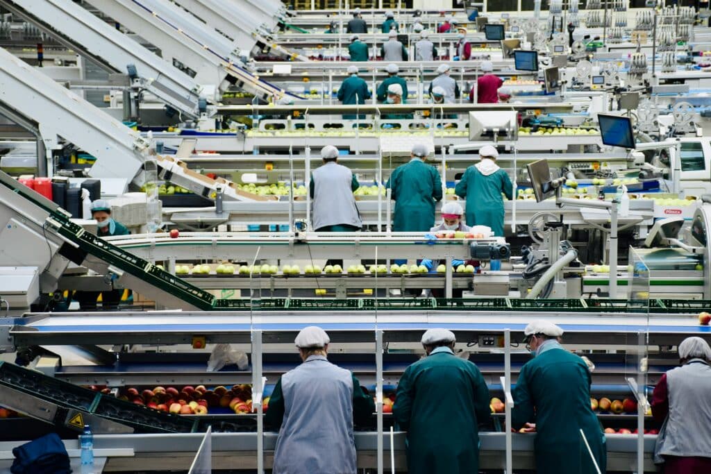 Les Lignes de Conditionnement dans l'Agroalimentaire par 5S Ingénierie